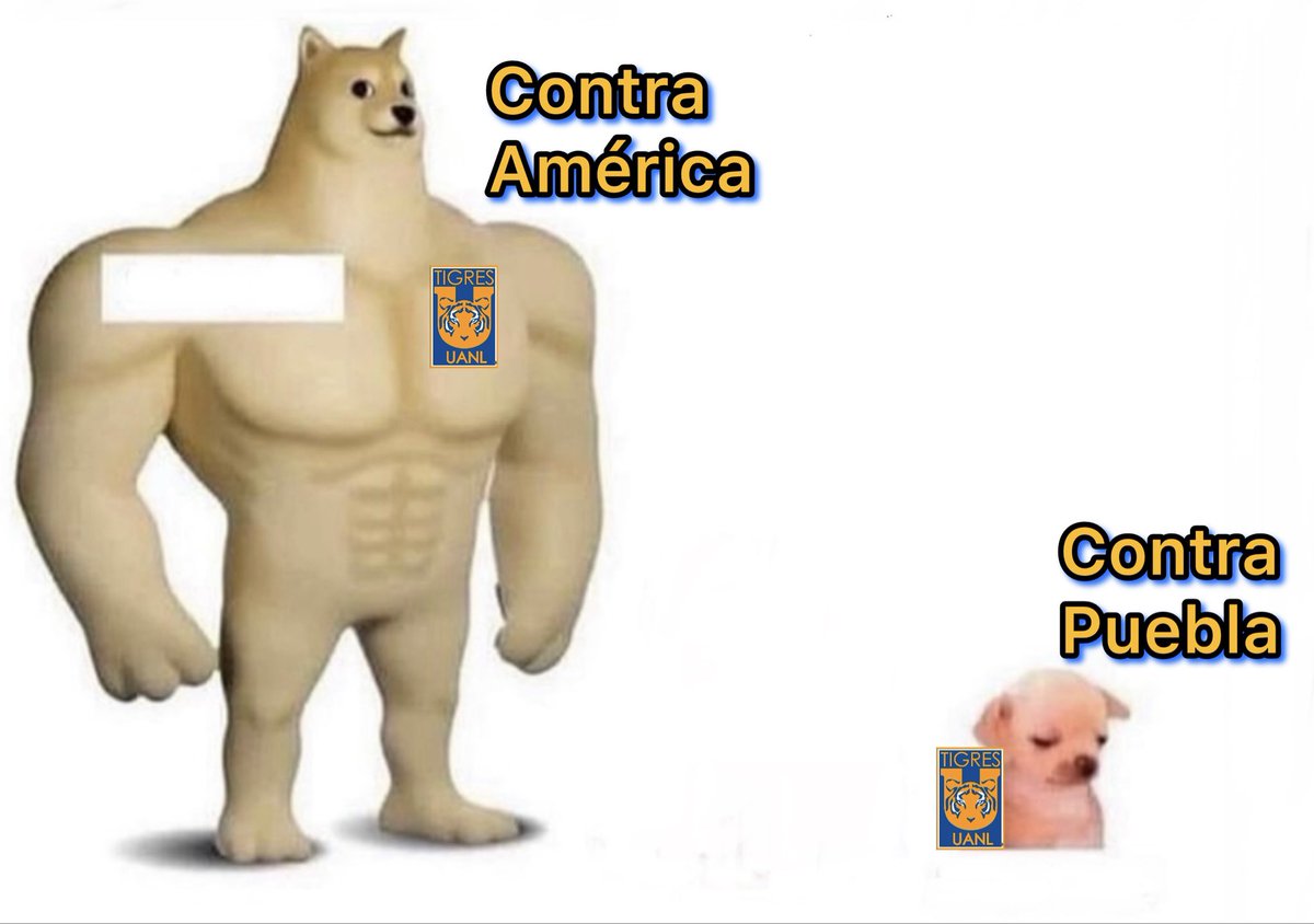 El Tigre de la CDMX tweet media