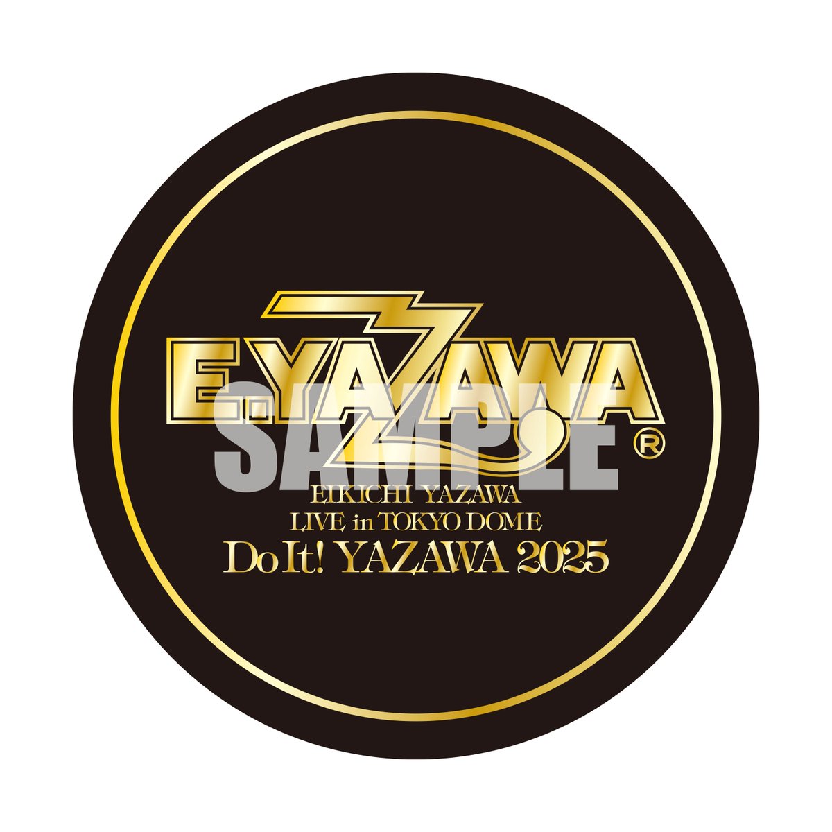 矢沢永吉】 ライブBlu-ray&DVD『EIKICHI YAZAWA LIVE in TOKYO DOME