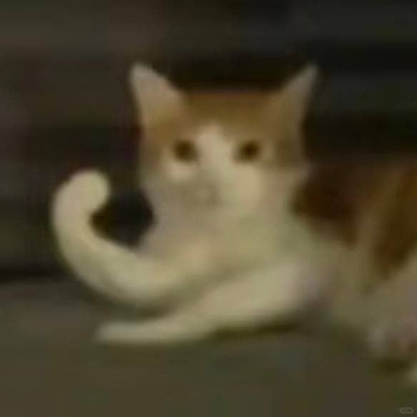 JarethnerlTH~ 🐐✨ tweet media