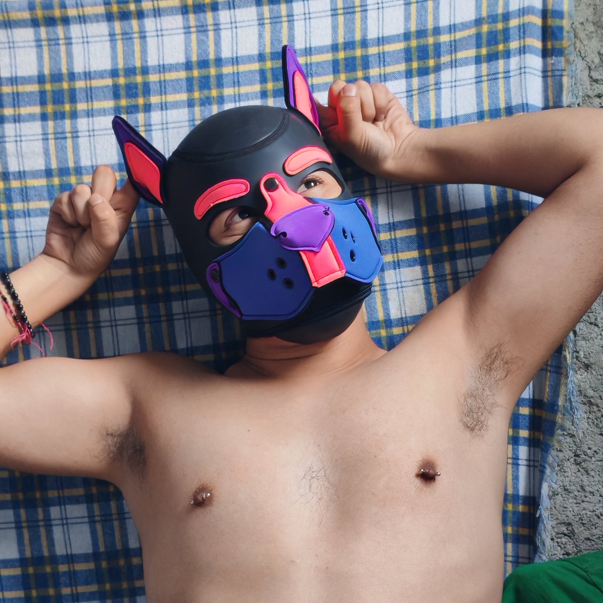 Pup Taro tweet media