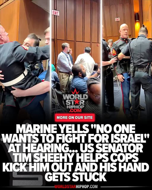 MR. OBVIOUS tweet media