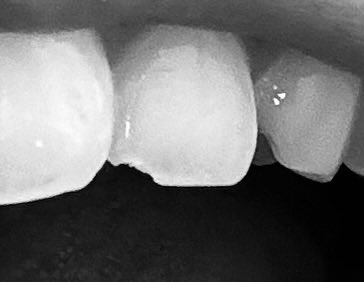 Anna ｜ UI/UX Designer🇨🇦 tweet media