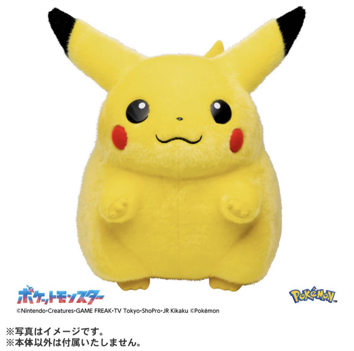 タカラトミーモール 【抽選販売】ポケットモンスター ポケモン30周年