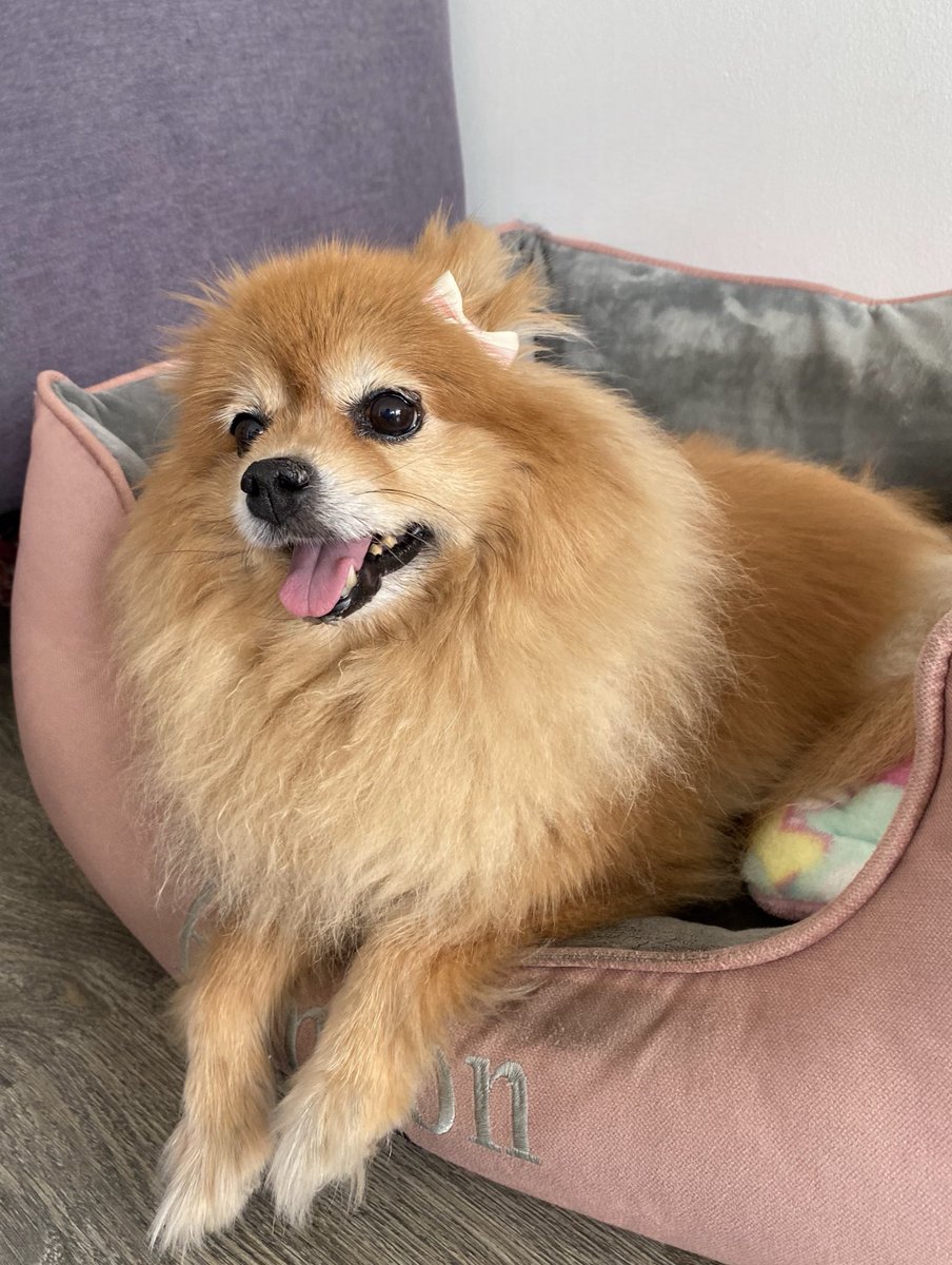 Daniela S. tweet media