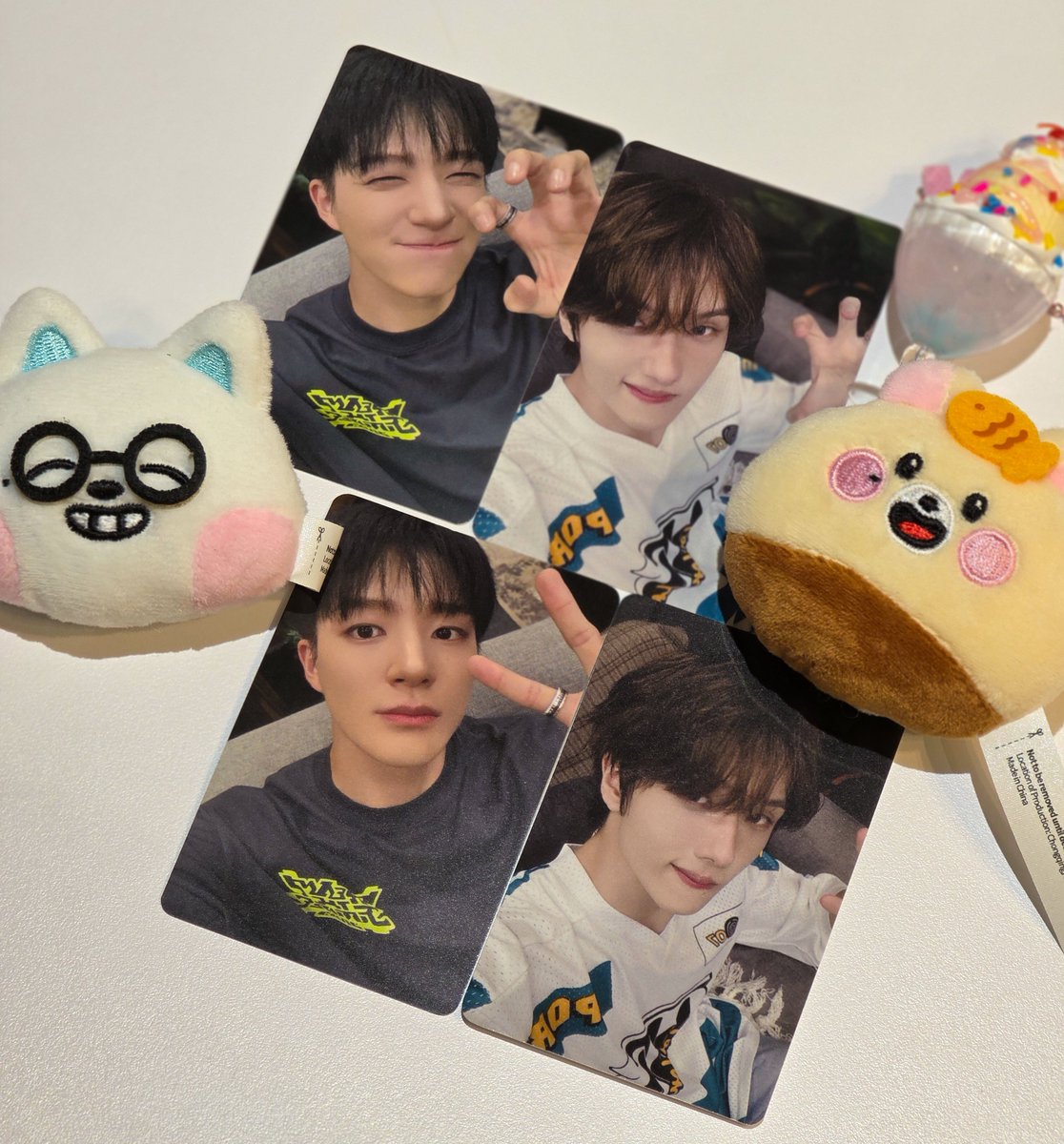 스위트 드리미즈 포카 #제노 #지성