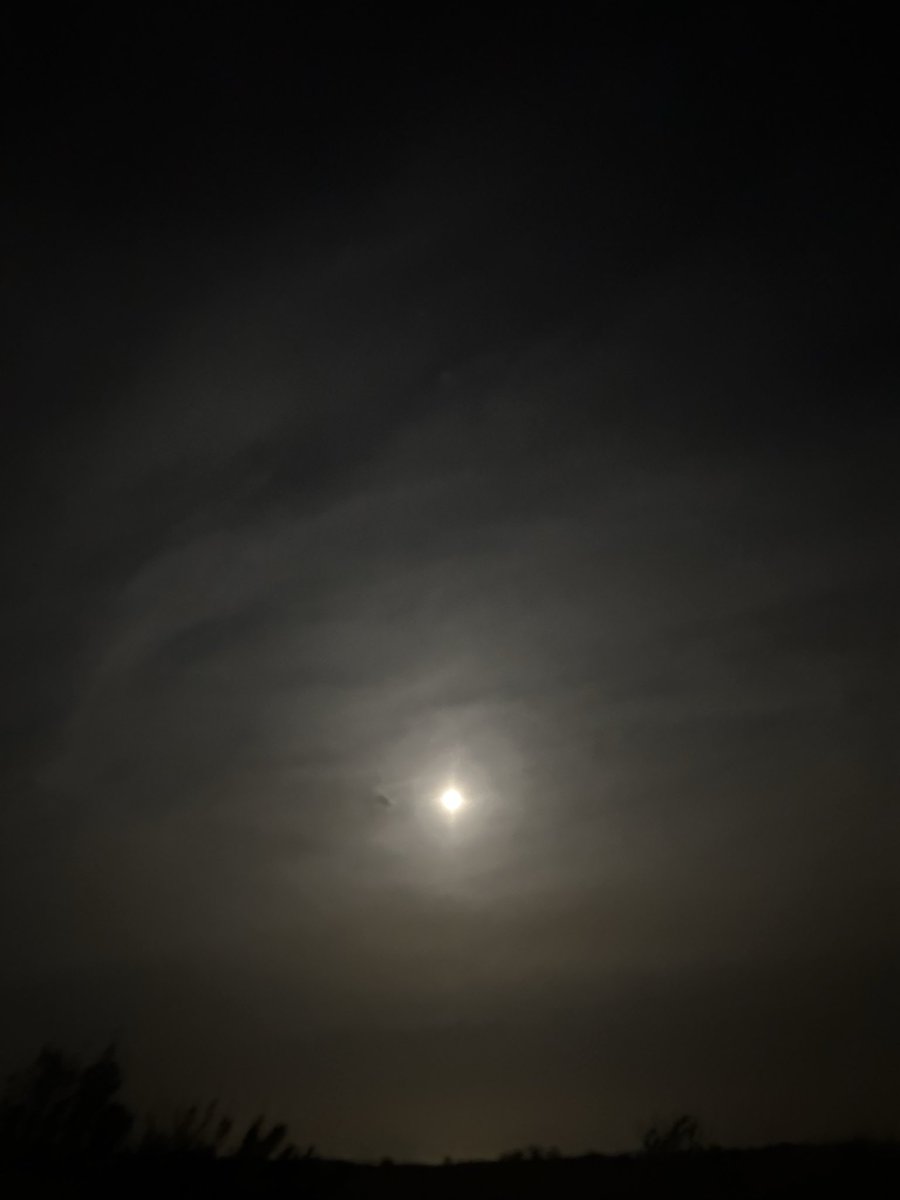 وكأن البدر يحسب نفسه شمساً
طاغ نوره كل شيء وزاد رحباً وبهوراً

-بدر ليلة الخامس عشر من رمضان