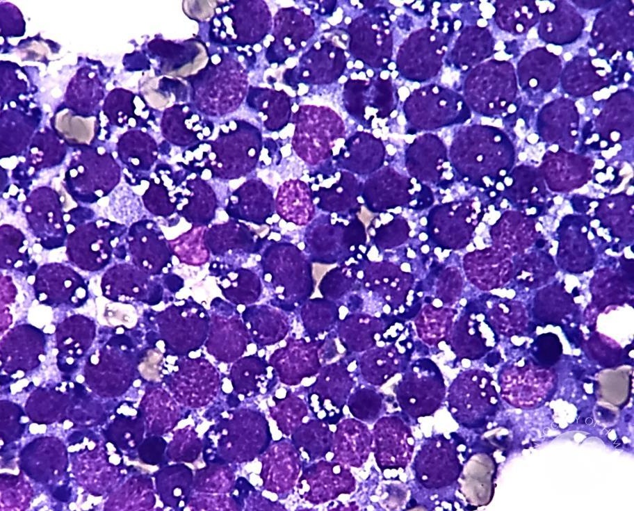 𝗡𝗶𝗵𝗮𝗿 𝗗𝗲𝘀𝗮𝗶 MD, DM tweet media