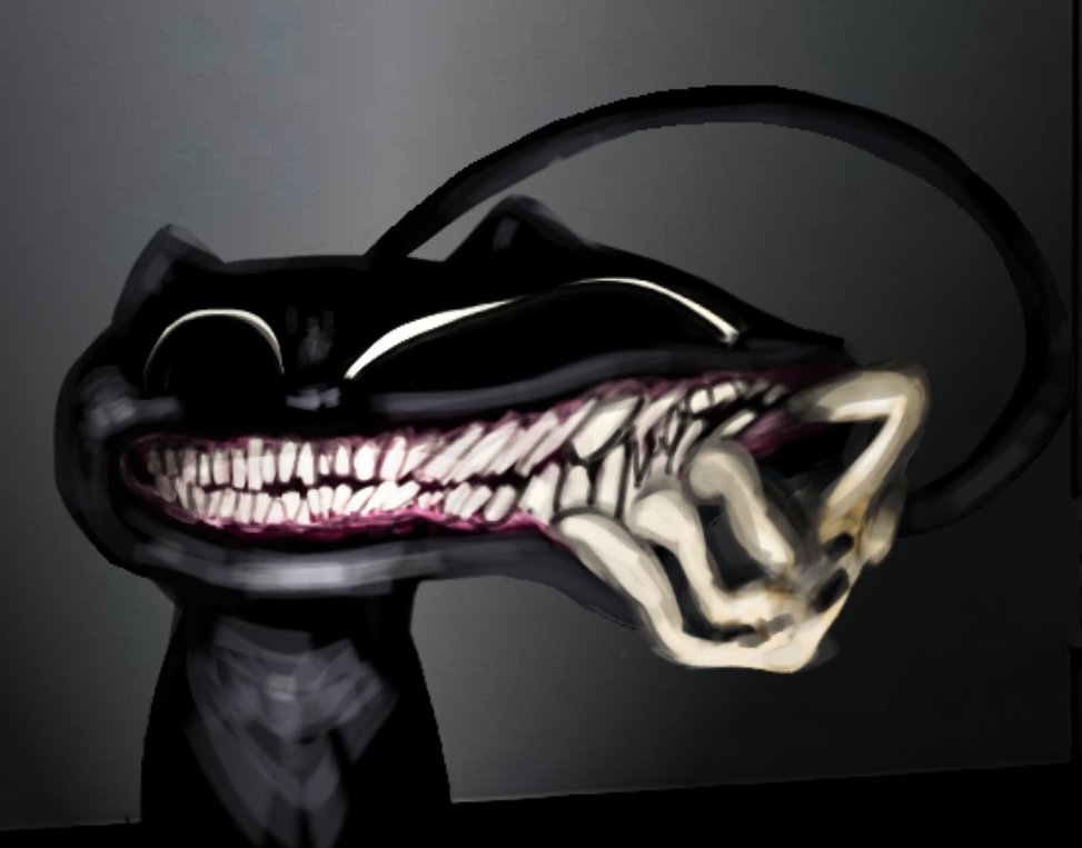 SerchTheSerch tweet media