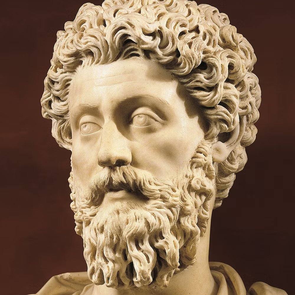 HermannHessed's tweet photo. “You have power over your mind - not outside events. Realize this, and you will find strength.”

―Marcus Aurelius, Meditations https://t.co/W9Zeep4nkB