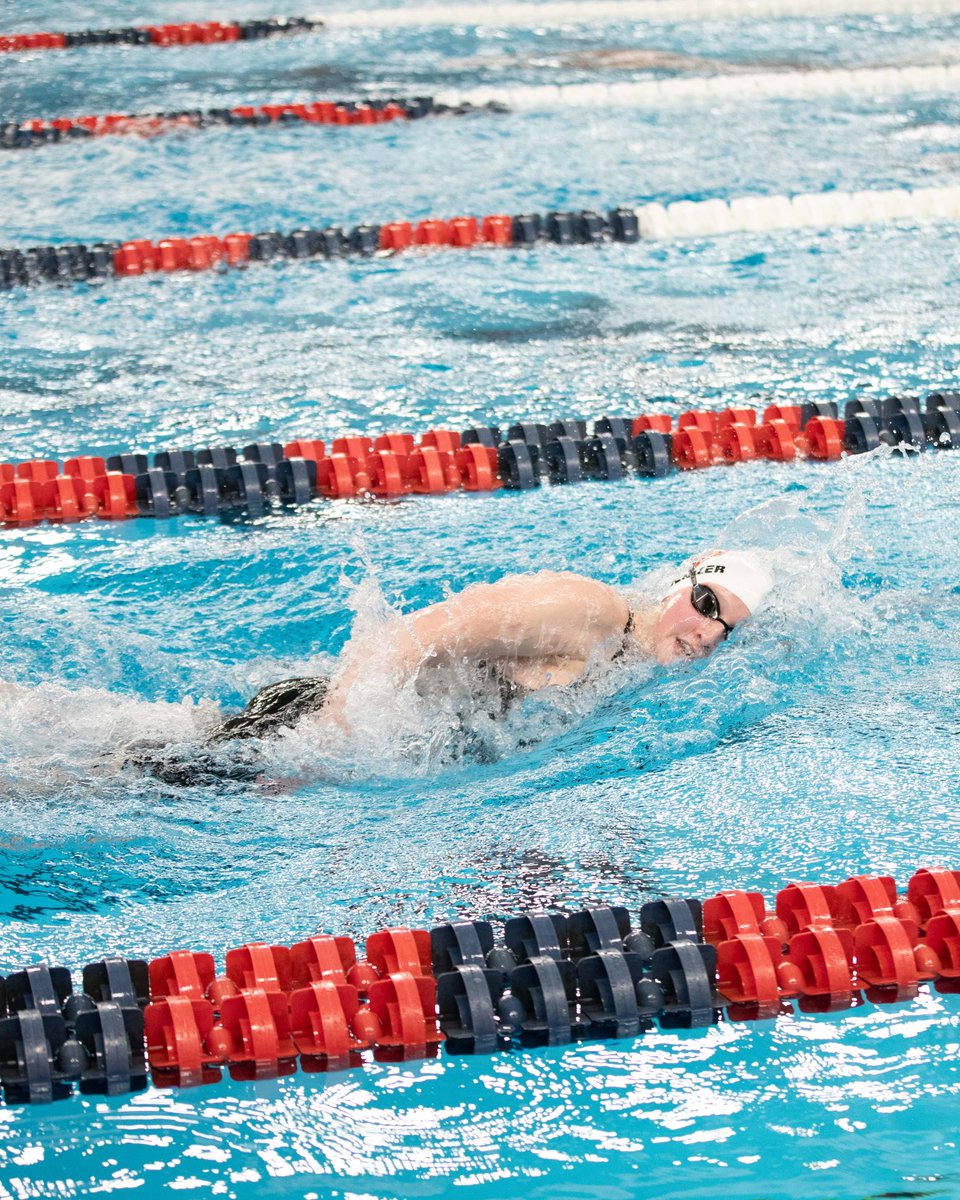 IWUWildcats's tweet photo. Swim and Dive got the NAIA National Championships starters with a pair of relays this morning! The Wildcats are back in the pool tomorrow morning!

#BothAnd #TheRightWayToPlay #BattleForTheRedBanner https://t.co/VZaYl1ubFo