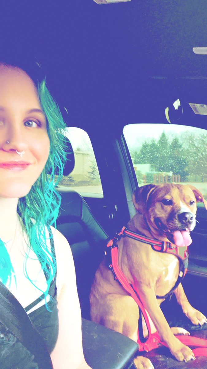 Boojumsblood's tweet photo. These two doggos means two different vet trips since they can't be trusted in one trip together. Loved having one on one time with them though. https://t.co/iclQERMOES