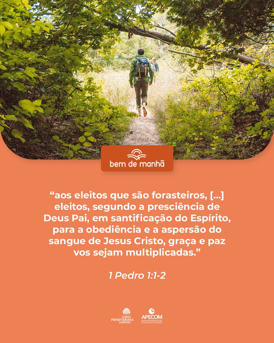 Igreja Presbiteriana tweet media