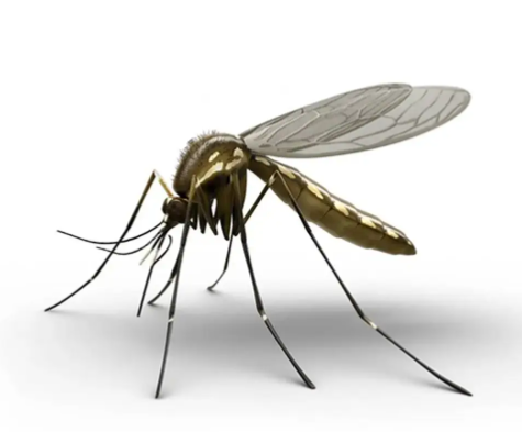 PeteWriting's tweet photo. #Writer #Poetry #WritingCommmunity #Scribblings
Today's clickety clicks๐
2. When You Feel The Bite
Poetry.
The ubiquitous evil of the blood-suckers. #BloodSucker #Invisible #FlySwat
https://t.co/myE2ubJoB1 https://t.co/Gce5DGdg7O