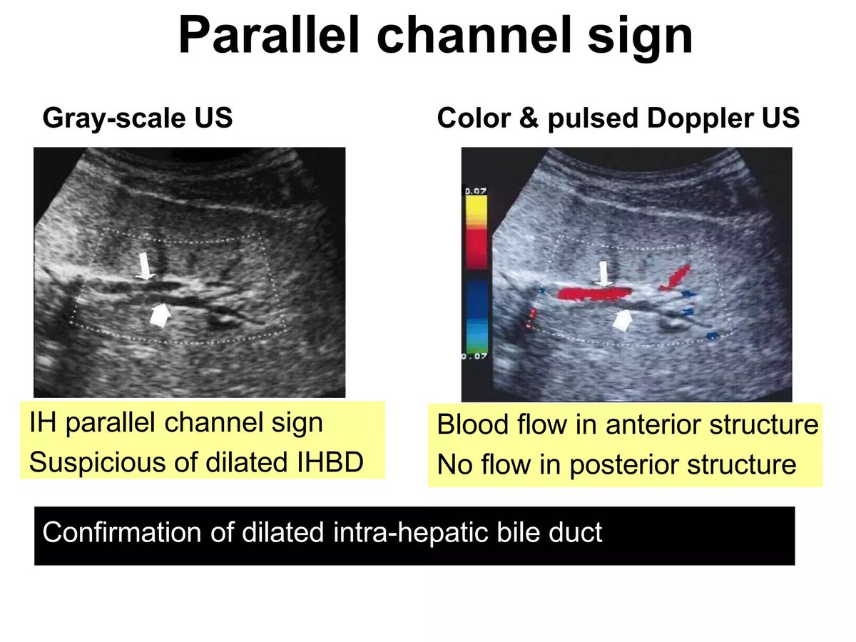 Hassler S. Macías-Sánchez tweet media