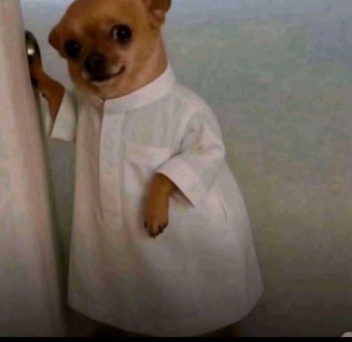 𝑻𝒂𝒍𝒌 𝑺𝒊𝒄𝒌 tweet media