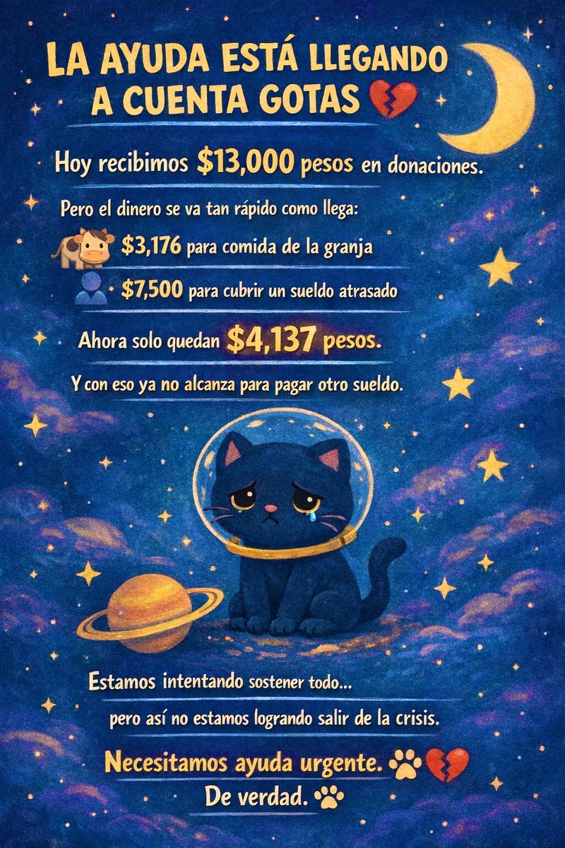 La ayuda está llegando… pero muy despacio.

Hoy recibimos $13,000 pesos en donaciones y lo agradecemos profundamente. De verdad.
Pero la realidad es que el dinero se va tan rápido como llega.

Tuvimos que cubrir comida para la granja y un sueldo atrasado, y ahora solo quedan