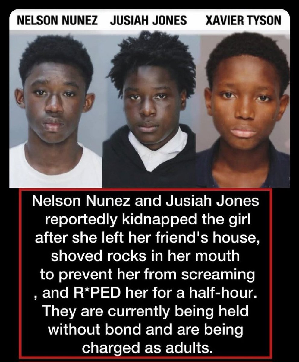 Imagina enviar a tu hija a la casa de un amigo y ella regresa violada y marcada para siempre.

3 jóvenes en Miami están siendo acusados como adultos por el horrible asalto sexual de una niña de 12 años.

Los niños agarraron a la víctima mientras caminaba a su casa, la sujetaron,