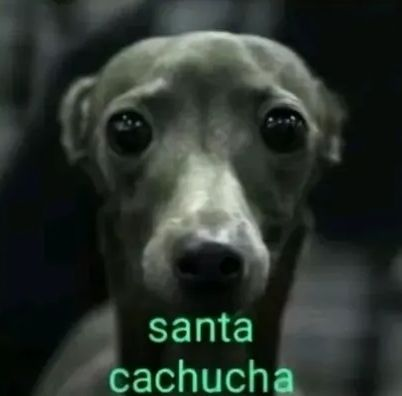 ⲨeniCream 🍦 tweet media