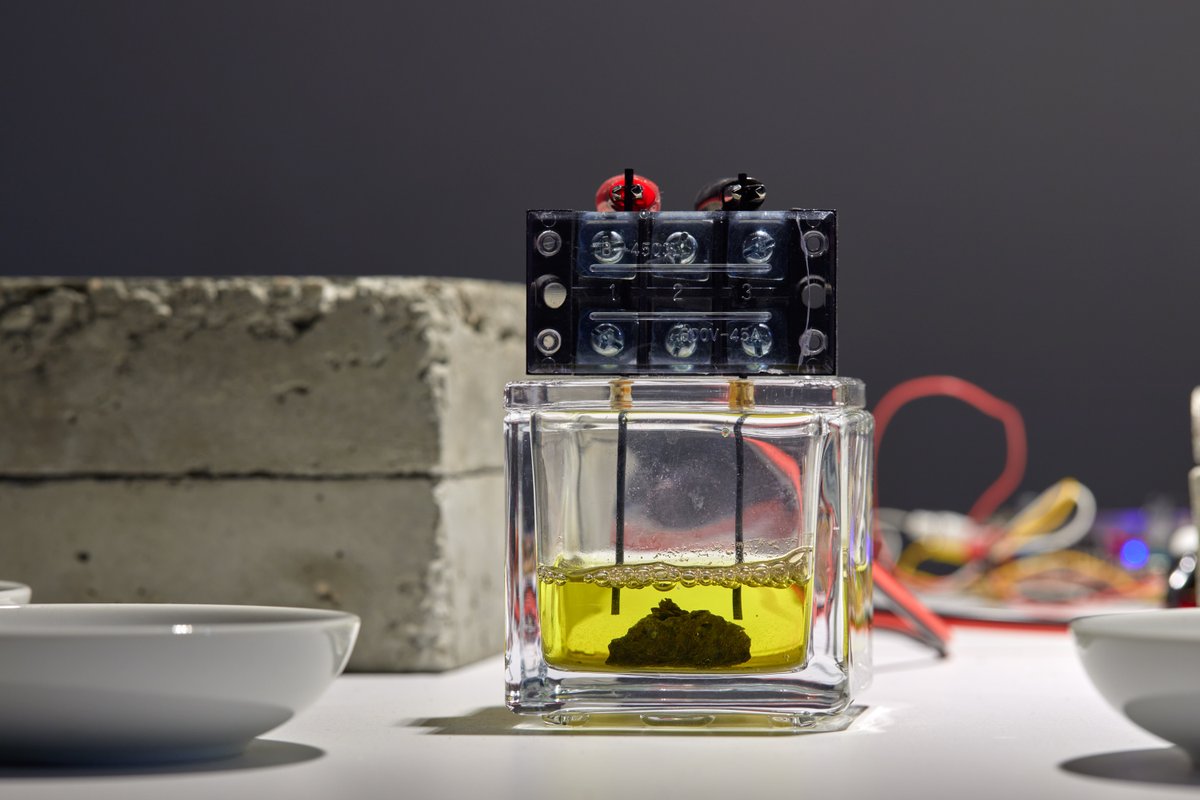 やまなしメディア芸術アワード tweet media