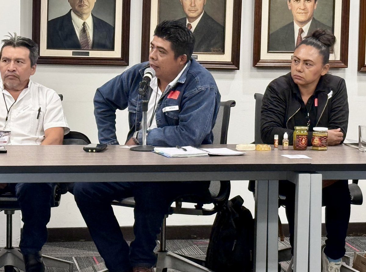 luisgure's tweet photo. Recibimos en @SE_mx a representantes de cooperativas de producción y turísticas de @GobQuintanaRoo . Muchas gracias a Irazú Sarabia, directora del Instituto de Economía Social y Solidaria @BienestarQR por la convocatoria https://t.co/rmMIKBsTzV