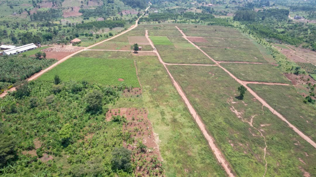 tic_ber2's tweet photo. Prime Residential Plots For Sale.

Area Code: Magogo Wakiso District 
County: Busiro
Block: 138
Proximity - 5kms off the Main road ( Hoima road)
Plot sizes:  50x100 ft
Tenure: Private Mailo 
Developer Price: 11M. Per plot https://t.co/thrLPv6vUp
