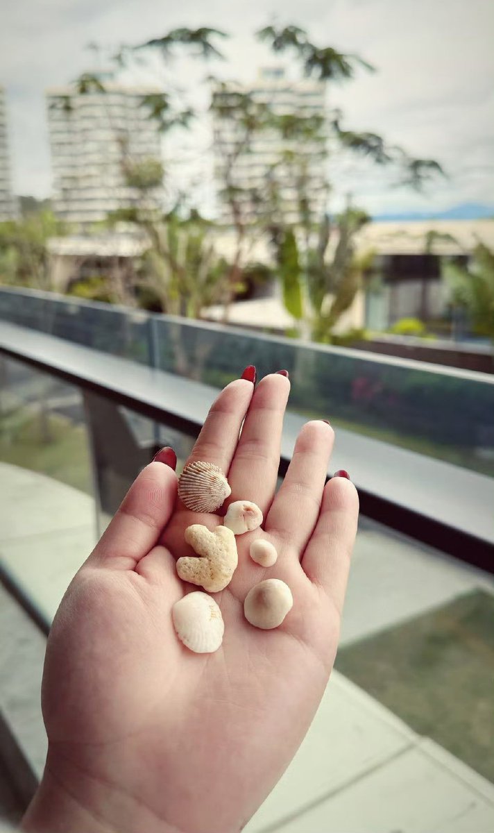 Hannah2066 tweet media