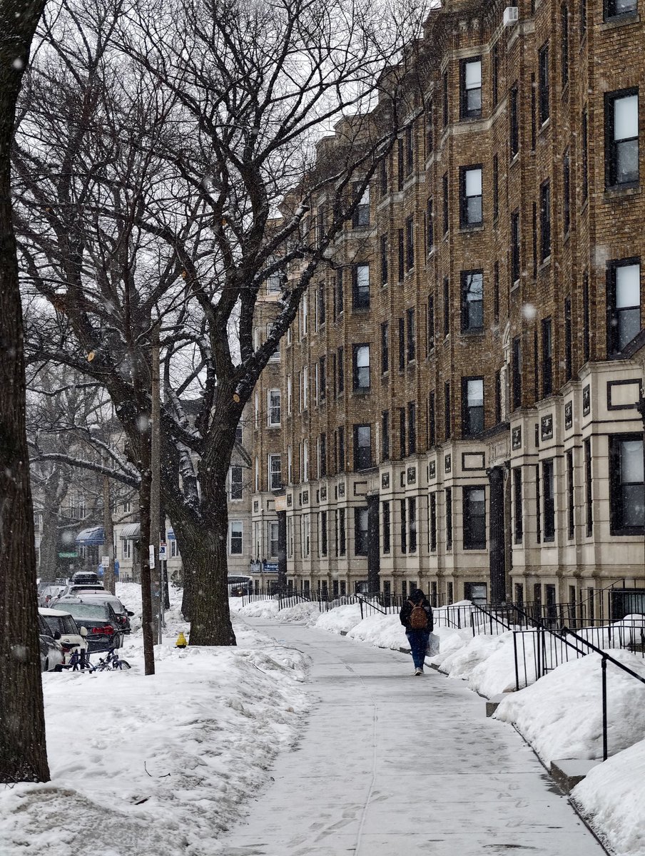 Doggggie_Xuan tweet media