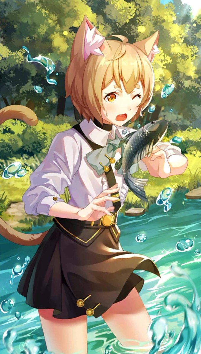 WorldwideSaka's tweet photo. I like it when he does cat things https://t.co/JaEBwNsYdv
