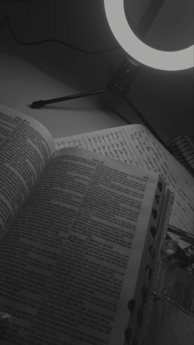 Orellana tweet media