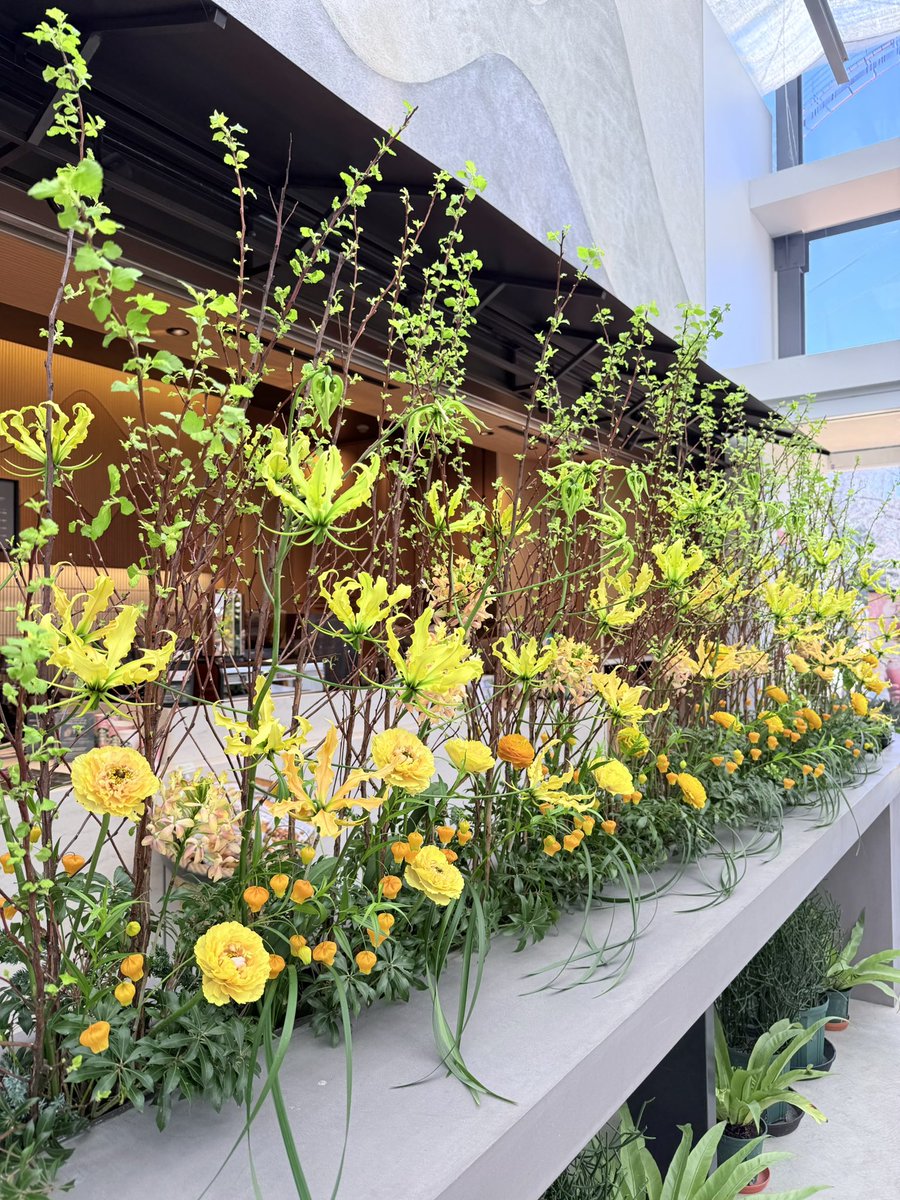 HANA・BIYORI 【公式】 (@Hanabiyori8717) / Posts / X