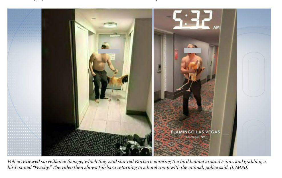 bostonrob tweet media