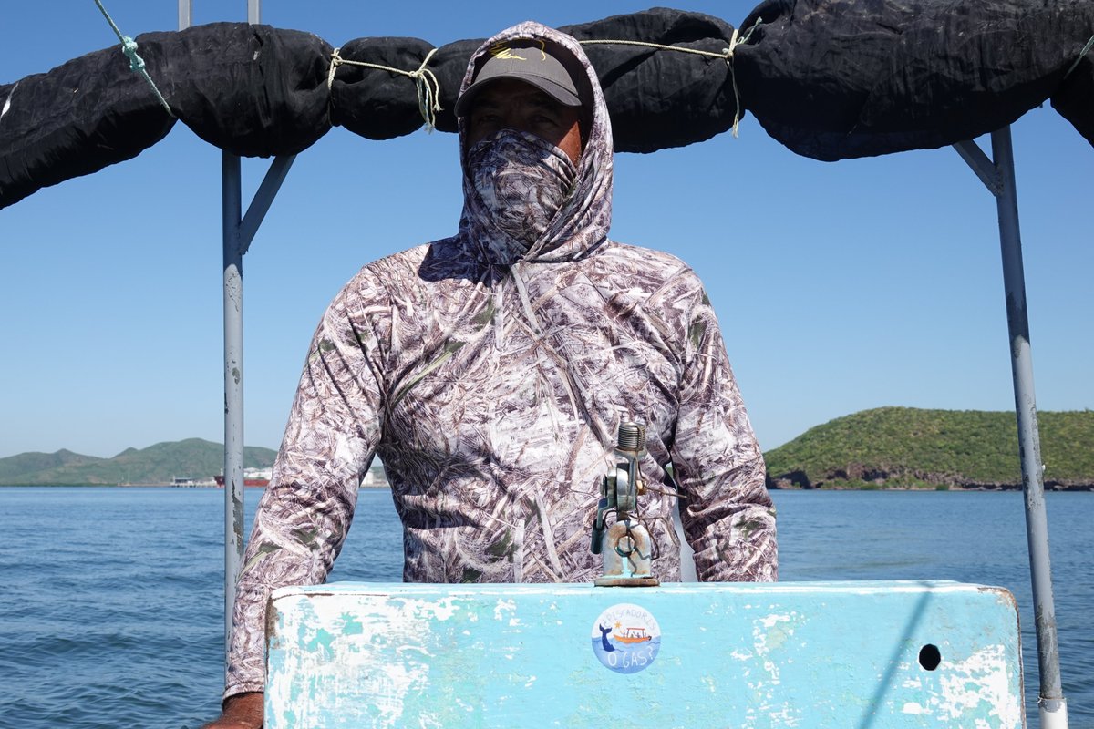 Hoy anunciaron la cancelación de Vista Pacífico, 1 de las 3 plantas de gas que amenazan el Golfo de California.
Es un logro enorme de las comunidades defensoras del territorio, la hermosa bahía de Ohuira.
Les dejo unas fotos del lugar que hoy resiste más que ayer.
#BallenasOGas
