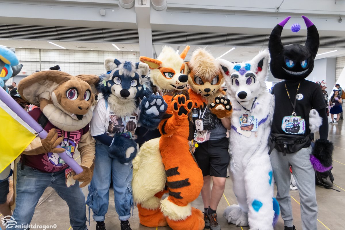 Anthrocon, Inc. tweet media