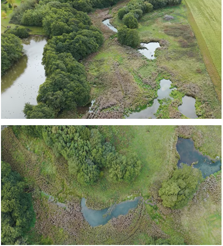 Dynamic Rivers tweet media