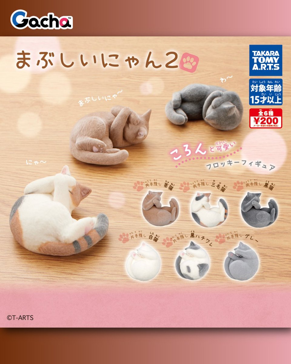 このタイプ好き🐈