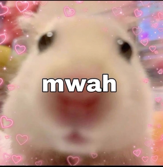 gabs🦦🍶 tweet media