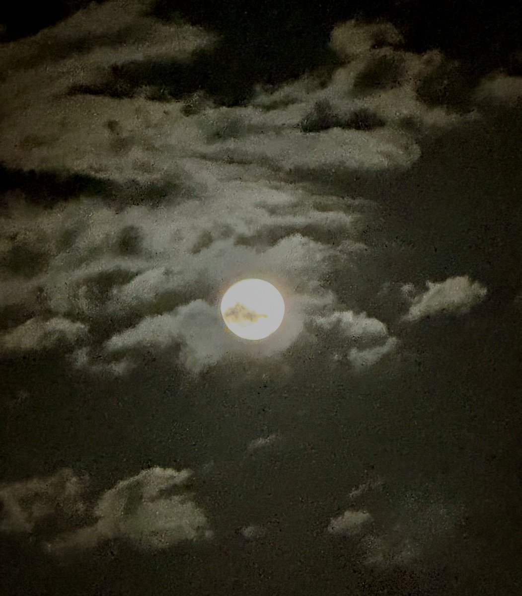 Dᴇꜱɪᴅᴇʀɪᴏ Jᴏꜱᴇ Mᴀɴᴜᴇʟ 🇲🇽 tweet media