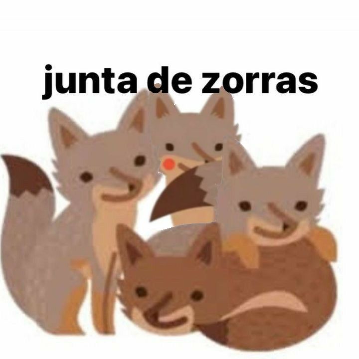 Yo le digo te amo a todas mis Mutis, después esta mi amigo que le digo te quiero de onda