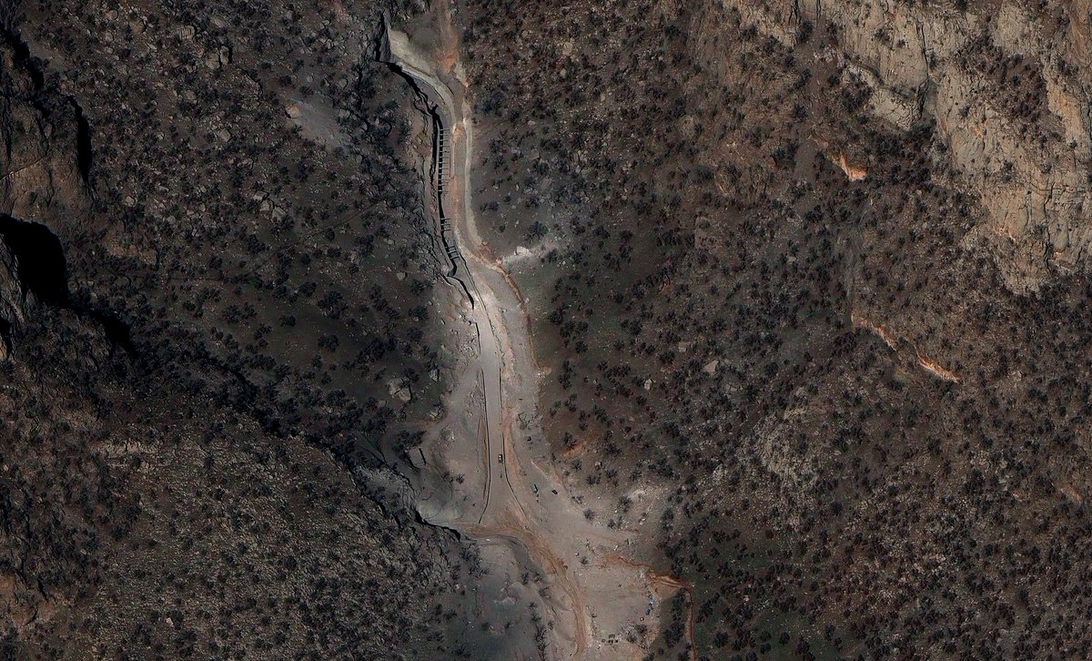 Shayan Sardarizadeh tweet media