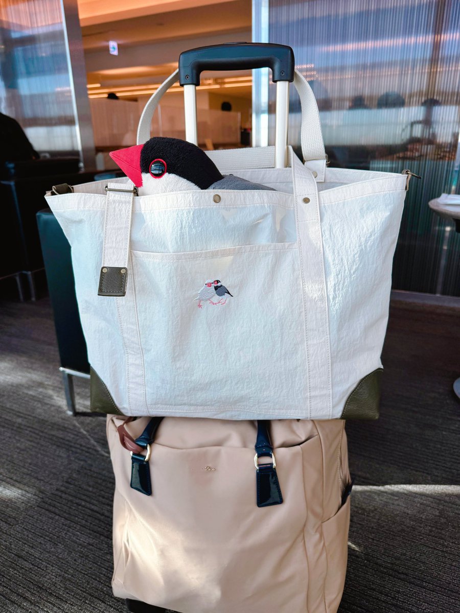 まさよ（7200BIRDIE） tweet media