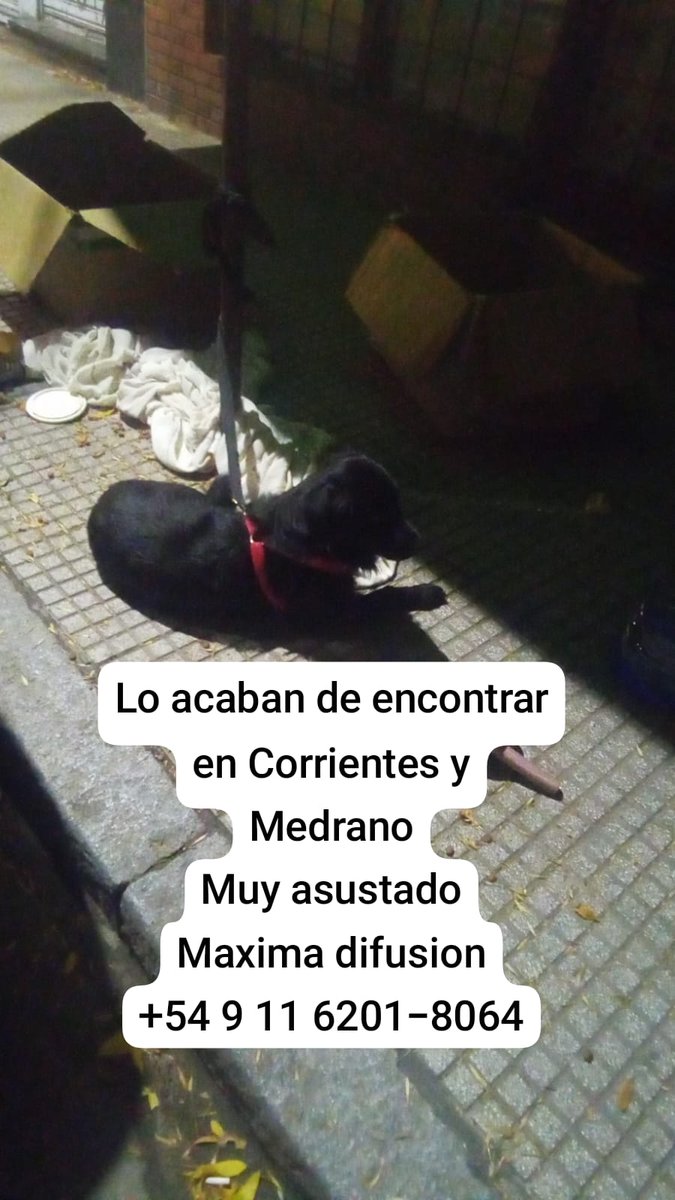 Rt
Máxima difusión