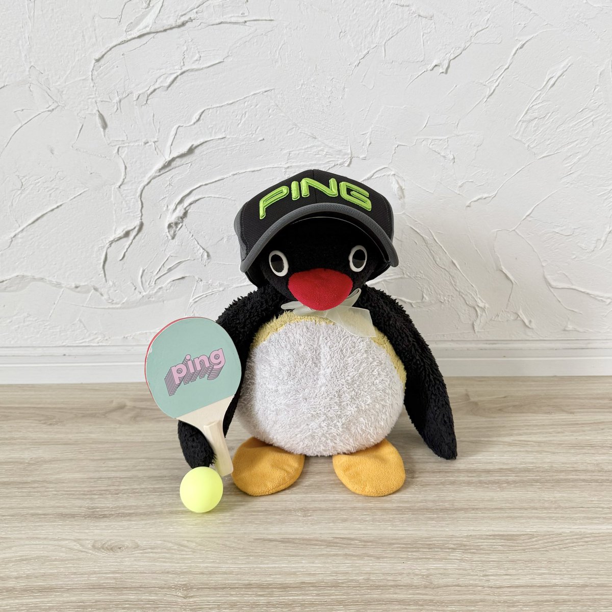 pingmyping tweet media