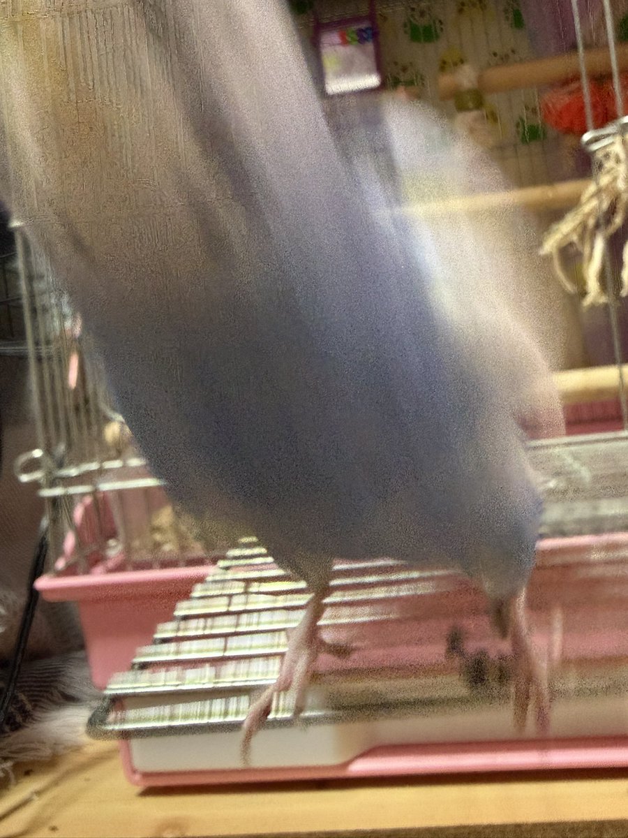 すえなな tweet media