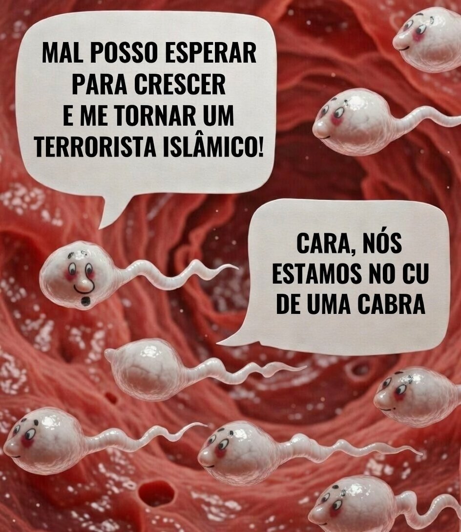 ademir_corno tweet media