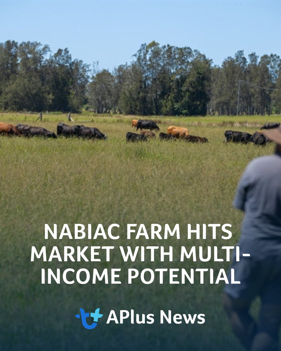 AuctionsPlus tweet media