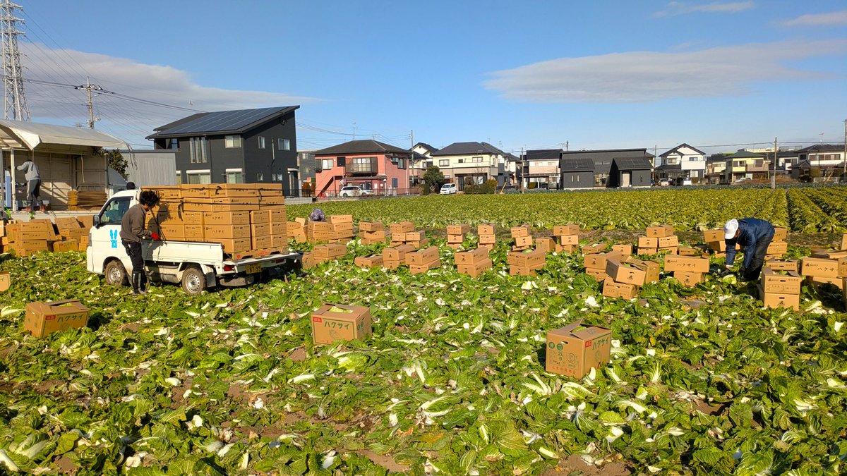＼埼玉の先進農場を視察！／
埼玉県内で急成長を遂げている、アグレス埼玉農場と所沢ゼロファームを視察しました。いずれも経営者としての姿勢や先を見据えた投資判断、地域と誠実に対話することの大切さなどを教えていただきました。

#東京 #農業 #新規就農 #アグレス #所沢ゼロファーム