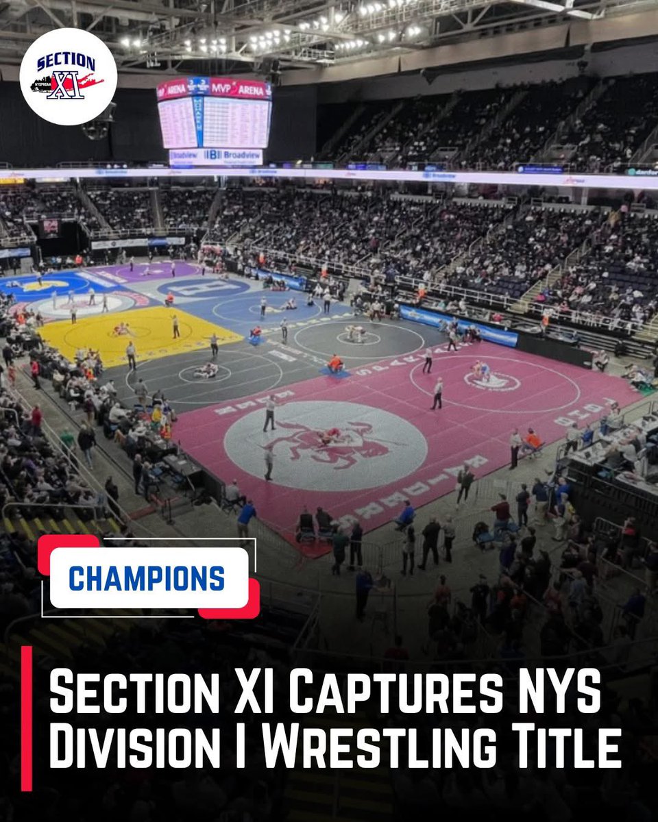 SectionXI tweet media