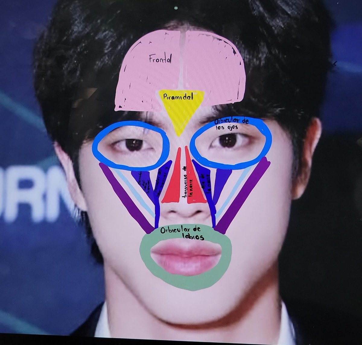 miren me estoy aprendiendo los músculos de la cara y así va el asunto