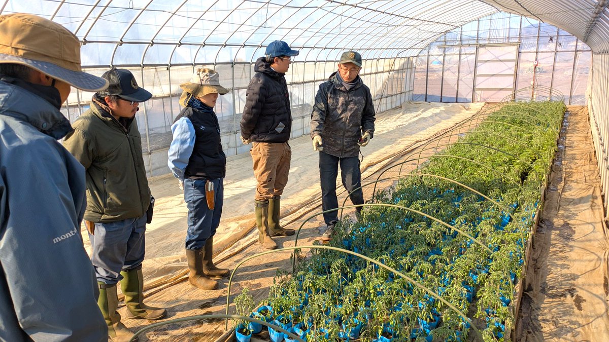 ＼電熱線を用いた育苗床づくり／
あきる野市の大福哲也さんのハウスで200Vの農電ケーブルやワラを用いた育苗床の作成方法を教わりました。合わせて作成・稼働経費や栽培スケジュール等も教えていただきました！

#東京 #農業 #新規就農 #アカデミー #八王子 #育苗床