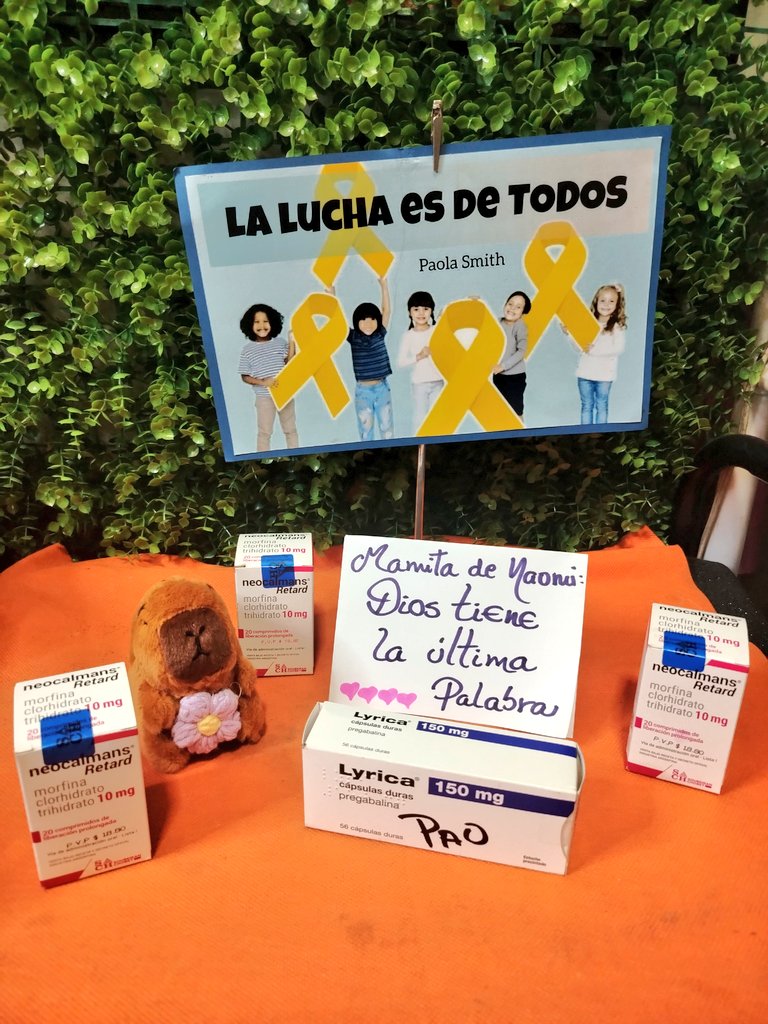 PaolaSmith2812's tweet photo. Gracias por confiarme sus medicinas con buena fecha para calmar el dolor de pequeños valientes 💊🎗️❤️🙏🏽 No es paciencia, es Amor ❤️ donación lista #morfina #pregabalina #juntoscontraelcáncerinfantil ✊🏽🎗️🙏🏽🙏🏽 #soylavoluntariaintensa #RT https://t.co/SQBFy8yoUn